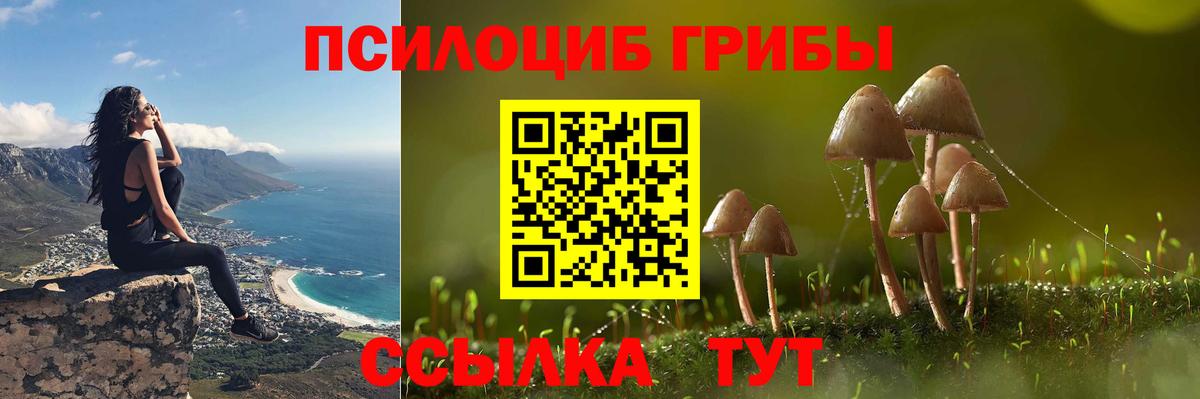 Псилоцибиновые грибы мицелий Электросталь
